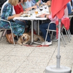 20190519-BONE4KIDS-HOVE-72dpi-0177